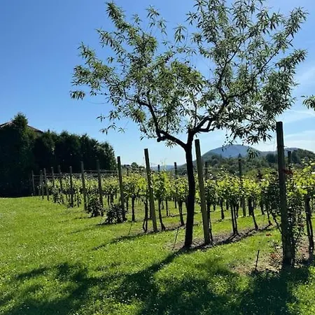 Neva Casa de Férias Loče pri Poljčanah