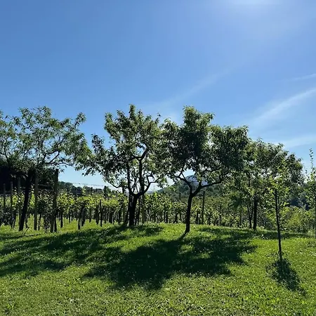 Vikendica Neva Loce pri Poljcanah