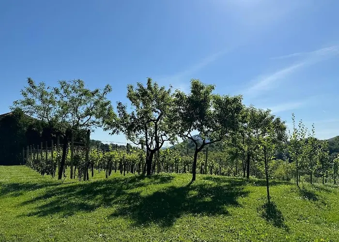 Dom wakacyjny Neva Loče pri Poljčanah